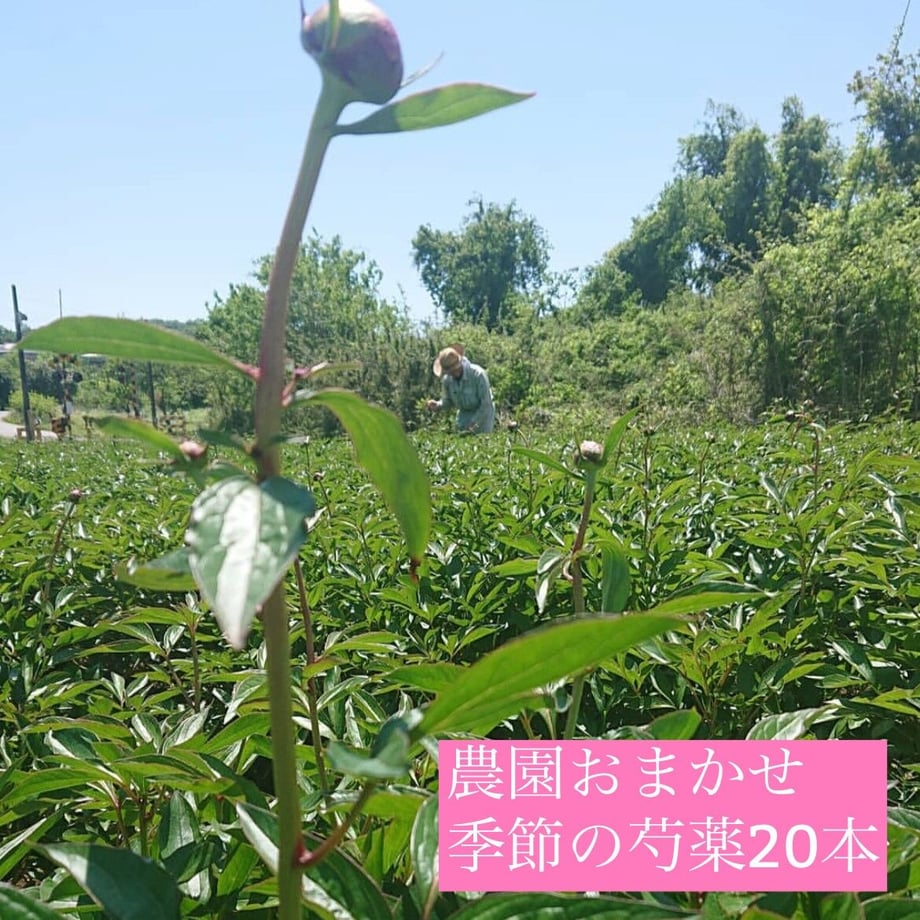 625f4e35a10275174cf6d8fe