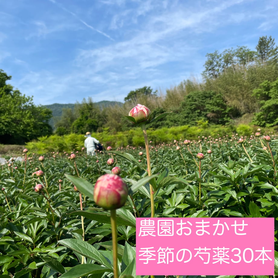 625f4e7e08e5e26e315a7fcc