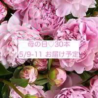 母の日【30本】5/9-11お届け予定💐※収穫状況によりお届け日変更有