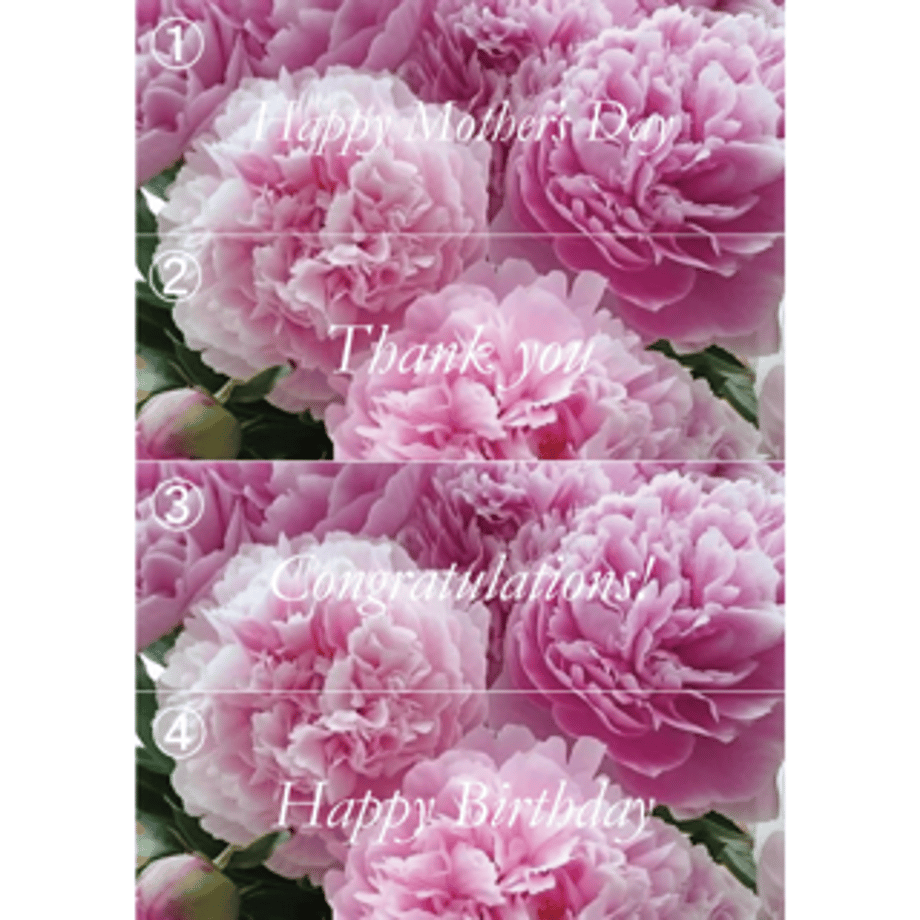 604852e2aaf0433097947680