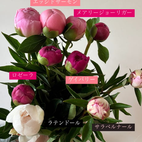 金子農園 箱入り娘💐 【送料無料】一部地域を除く