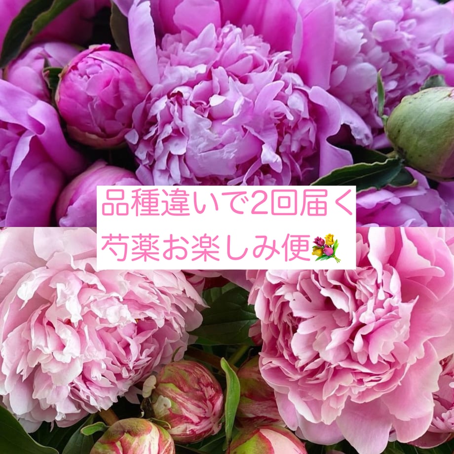 69e0c4d56c5f9e9dcf37a093