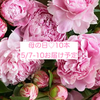 母の日10本　【送料無料】　　　一部地域を除く
