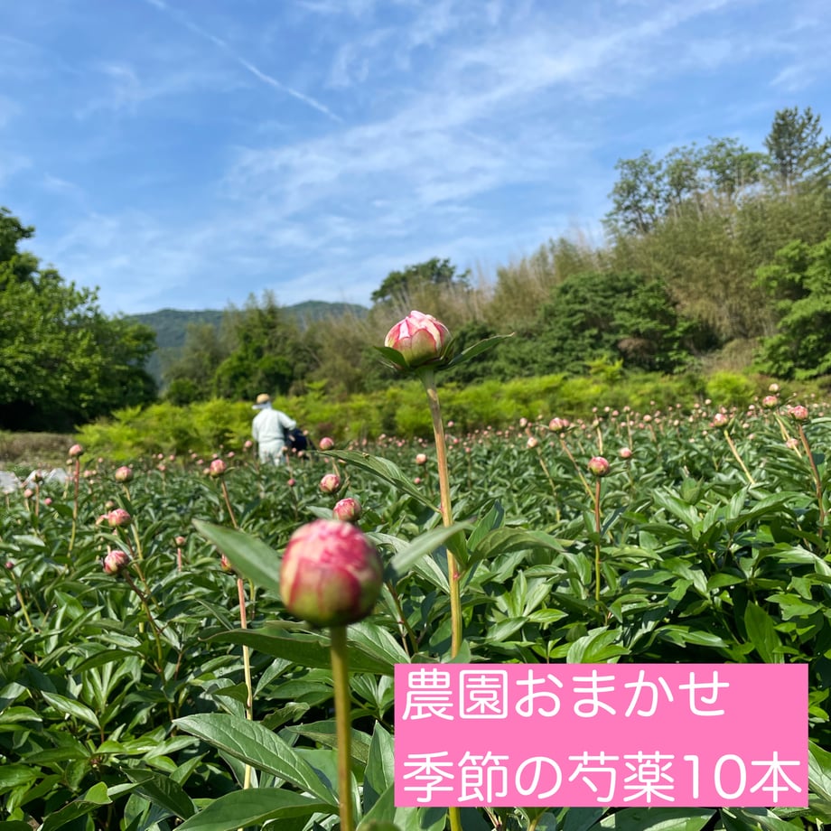 625f4ddc08e5e23c065a7f29