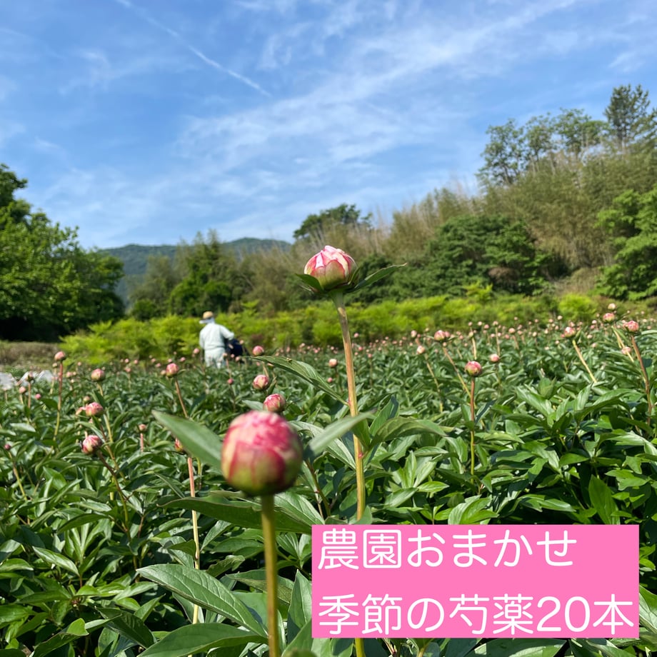 625f4e35a10275174cf6d8fe