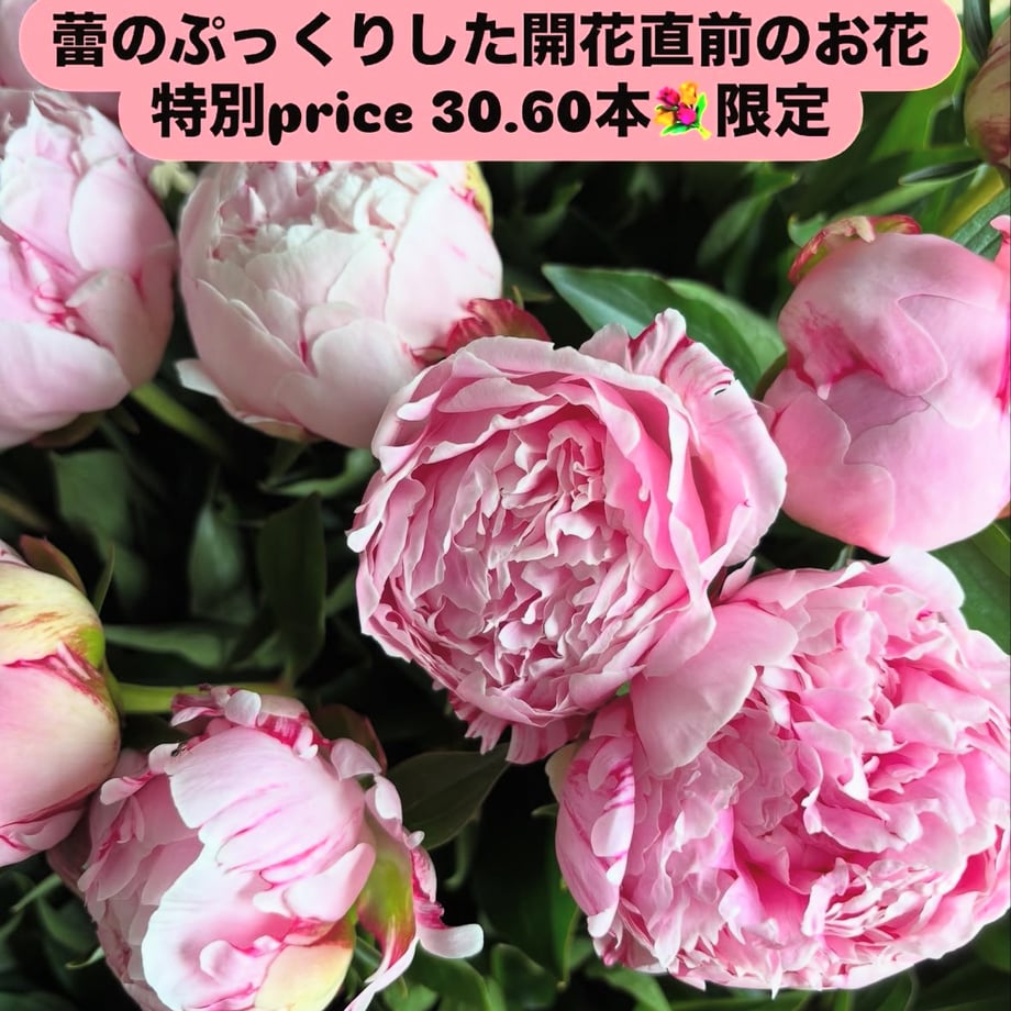 682fe7804b7d3936174f5eaf