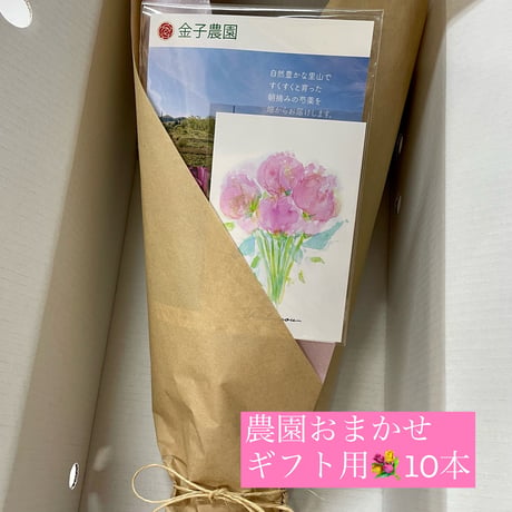 農園おまかせ季節の芍薬10本　　　　　【送料無料】一部地域を除く