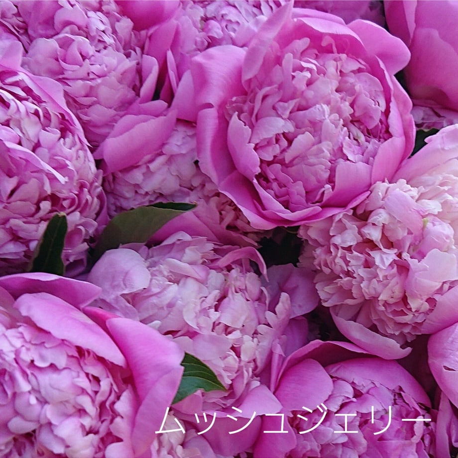 60657031a87fc54ae8c3381e