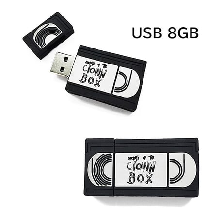 SALE ファンシーラッド FANCY LAD SECRET OF THE CROWN BOX VHS USB 8GB