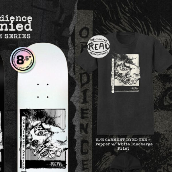 REAL SKATEBOARDS Tシャツ 半袖 リアル グレー Obedience Deni