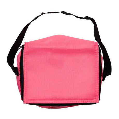 SALE FROG SKATE バッグ　Frog  Skateboards Lunchbox （Pink　Royal） フロッグ ランチボックス入れ