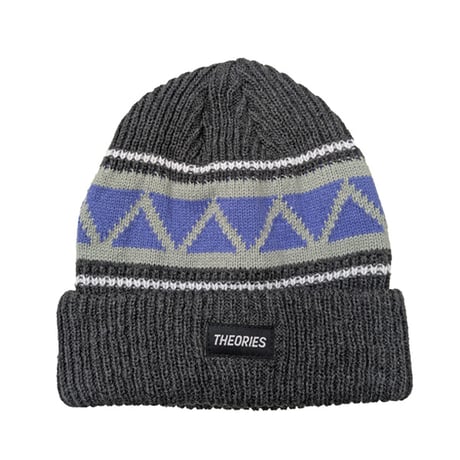 THEORIES ビーニー セオリーズ グレー　Theories Beanie Hat （Grey）