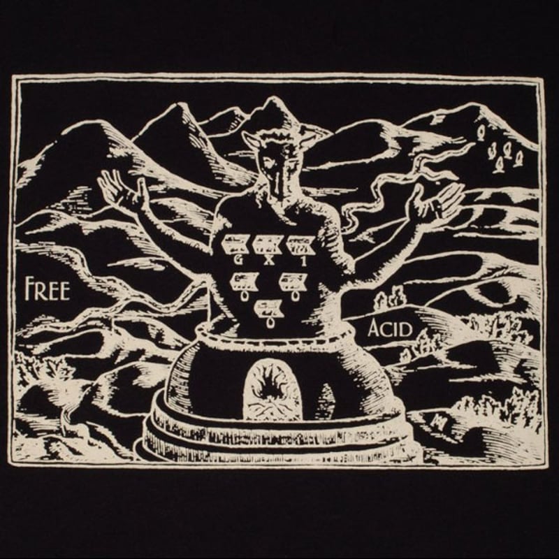 GX1000 Tシャツ 半袖 ジーエックスセン 黒 Free Acid Tee （Black）