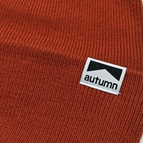 AUTUMN ビーニー 　AUTUMN HEADWEAR SURPLUS BEANIE (SPICE） オータム スノー スノーボード