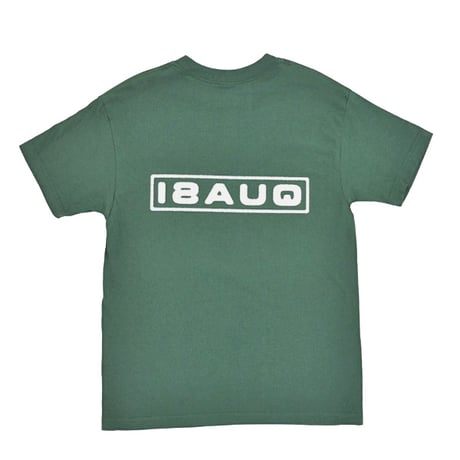 QUASI Tシャツ 半袖  グリーン クワジ クワージー クアジ　QUASI SKATEBOARDS Euro Haze Tee （Forest）