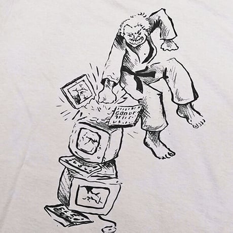 SALE ANTIHERO SKATEBOARDS Tシャツ アンタイヒーロー グレー 半袖　I HATE COMPUTERS TEE (ICE GREY)
