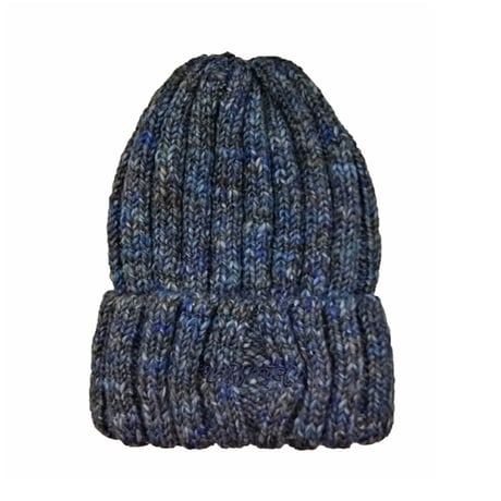 POLAR SKATE CO  ビーニー ポーラー　Ali Beanie （Blue）