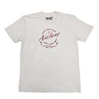 ANTIHERO SKATEBOARDS Tシャツ アンタイヒーロー 半袖　CLEAN SAFETY TEE (NEW SILVER)