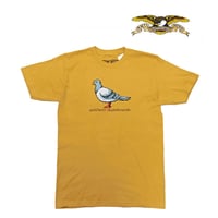 SALE ANTIHERO SKATEBOARDS Tシャツ アンタイヒーロー 半袖　BIG PIGEON S/S TEE (GINGER)