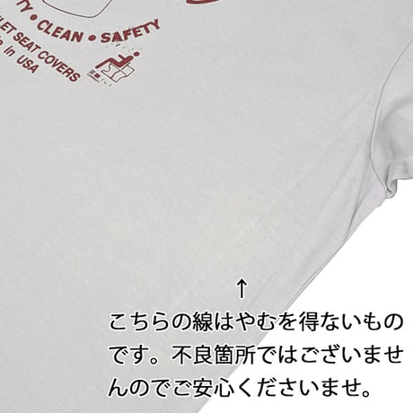 ANTIHERO SKATEBOARDS Tシャツ アンタイヒーロー ライトグレー 半袖　ANTIHERO CLEAN SAFETY TEE (NEW SILVER)