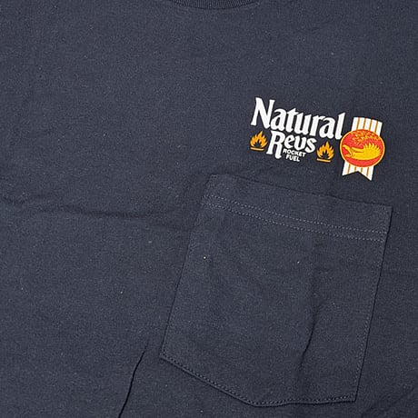 ANTIHERO THRASHER アンタイヒーロー ネイビー Tシャツ　ANTI HERO NATTY REVS S/S POCKET TEE （NAVY）