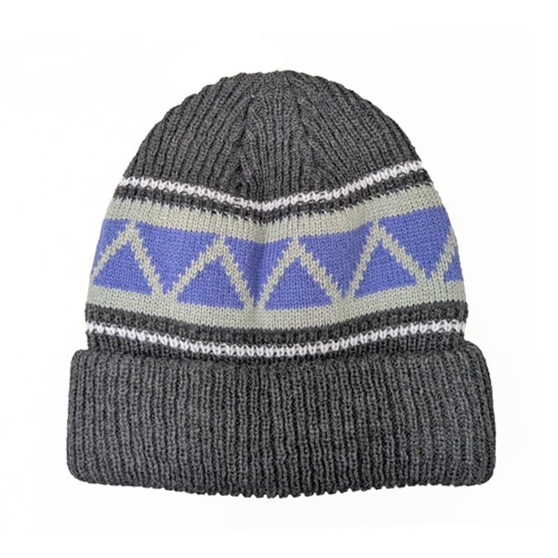 THEORIES ビーニー セオリーズ グレー Theories Beanie Hat （Gr