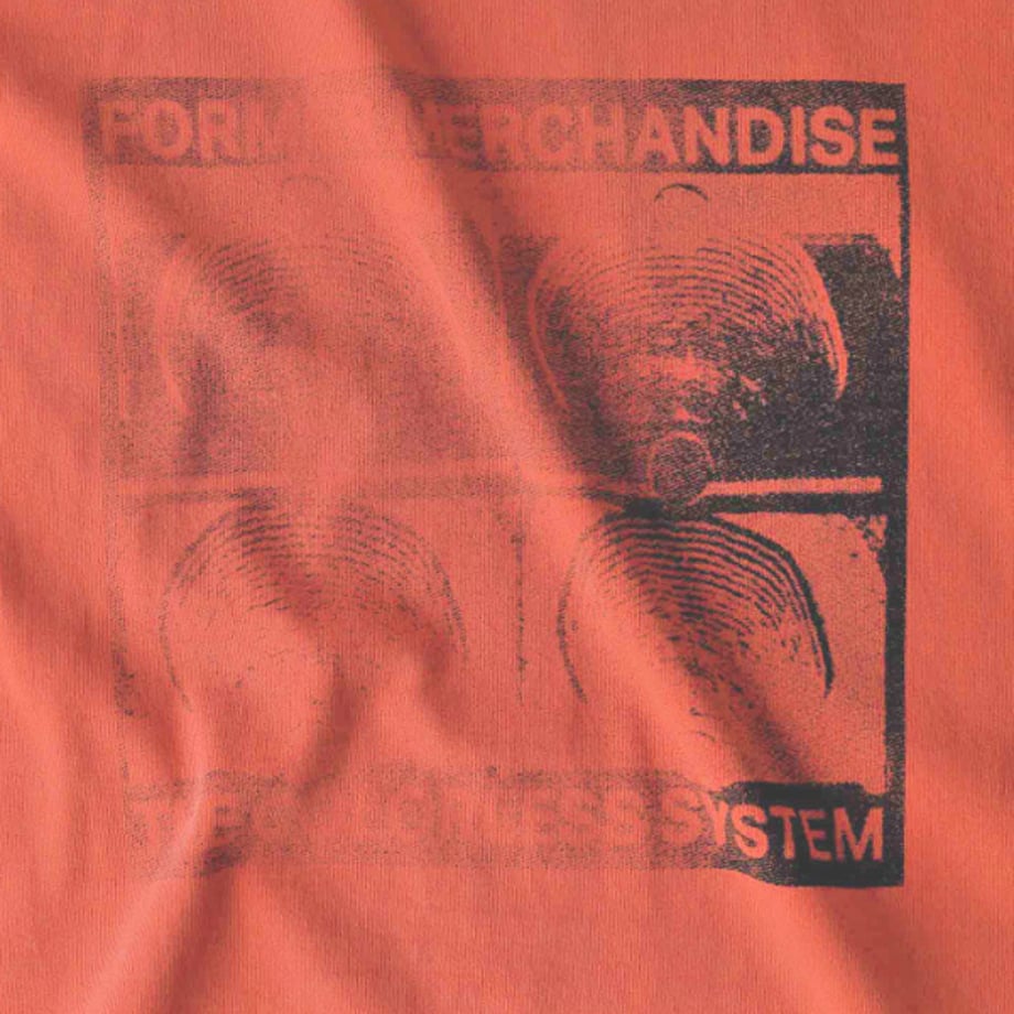 6667f8c2b354bf08234e20d2