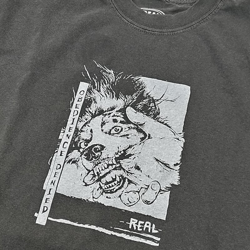 REAL SKATEBOARDS Tシャツ 半袖 リアル グレー Obedience Deni