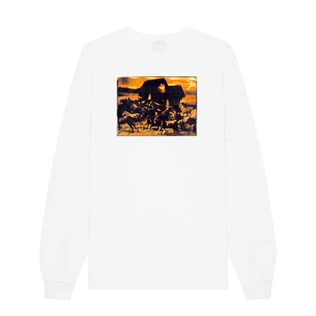 SALE HOCKEY Tシャツ 長袖 ロンT SKATEBOARDS ホッケー　 In Dreams L/S Tee （White）SALE