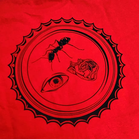 ANTIHERO SKATEBOARDS Tシャツ アンタイヒーロー 半袖 赤　BOTTLE CAP S/S POCKET TEE (RED)