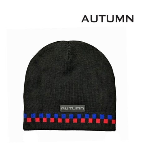 SALE ビーニー オータム スノー スノーボード  AUTUMN HEADWEAR RATIO BEANIE （BLACK）