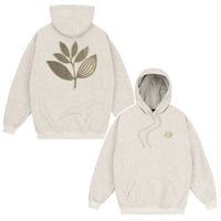 MAGENTA スウェット パーカ マジェンタ　MAGENTA SKATEBOARDS CORD PLANT HOODIE （ASH）