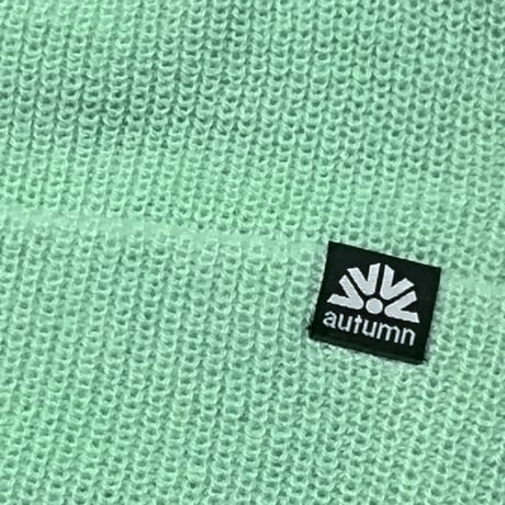 AUTUMN ビーニー 　AUTUMN HEADWEAR SIMPLE BEANIE  (MINT） オータム スノー スノーボード