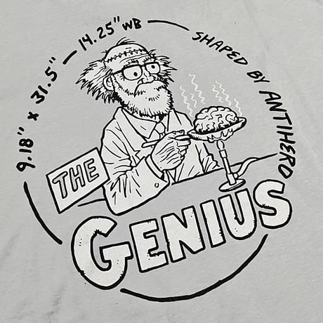 ANTIHERO SKATEBOARDS Tシャツ アンタイヒーロー 半袖 グレー　THE GENIUS S/S TEE (SILVER)