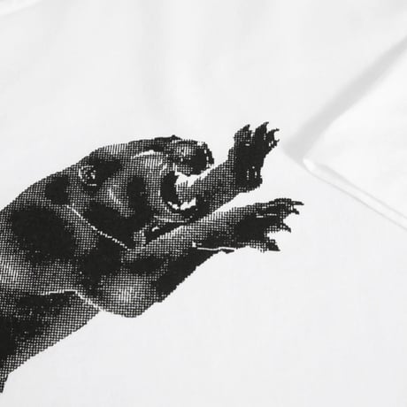 SALE POLAR SKATE CO Tシャツ 半袖 ポーラー 白 メンズ　TAPE AND PANTHER TEE (WHITE）