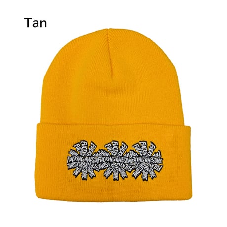 FUCKING AWESOME ファッキンオーサム ビーニー　FUCKINGAWESOME Three Spiral Cuff Beanie （Black Tan Red）