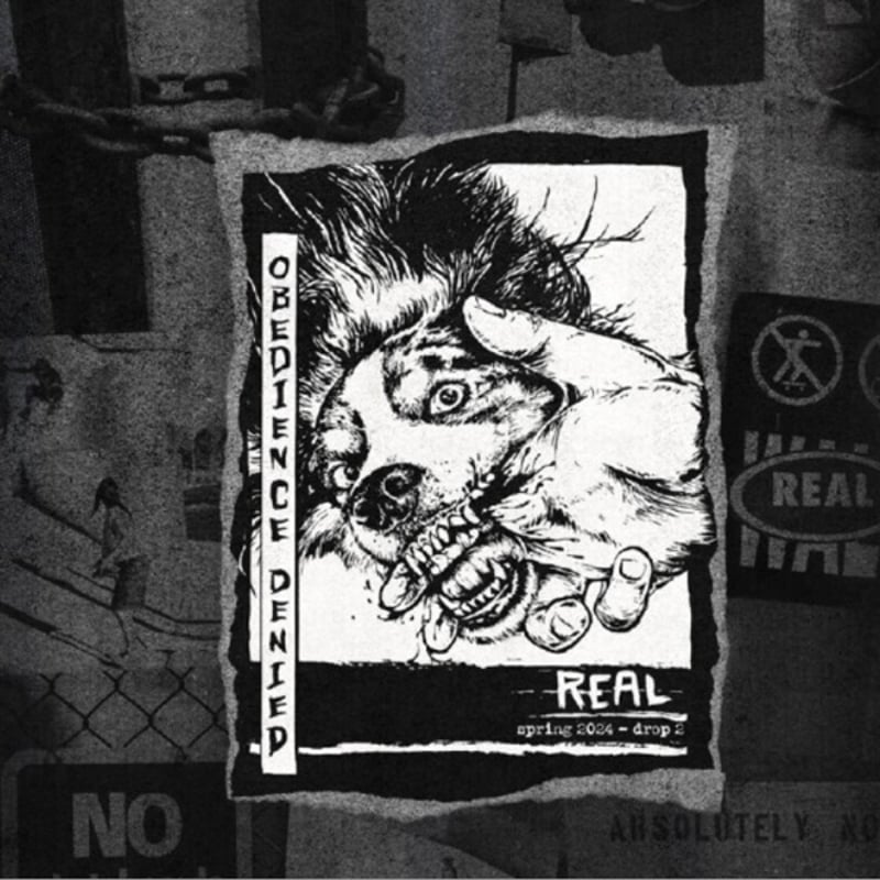 REAL SKATEBOARDS Tシャツ 半袖 リアル グレー Obedience Deni