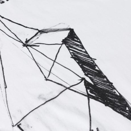 POLAR SKATE CO Tシャツ 長袖 ポーラー メンズ ホワイト　LS Tee  The End （White）