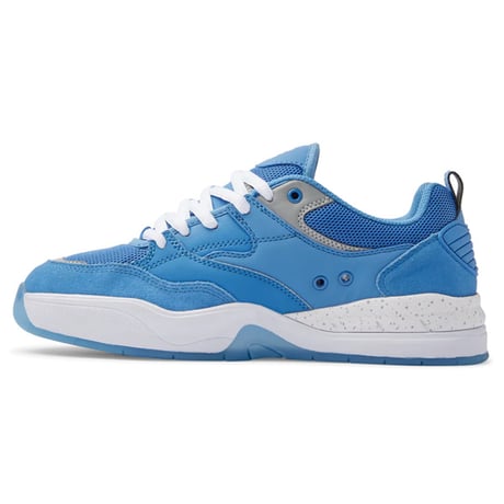 SALE DC SHOES スニーカー スケボー ディーシー シューズ　DC Shoes DC ASCEND S（C0　CAROLINA BLUE）