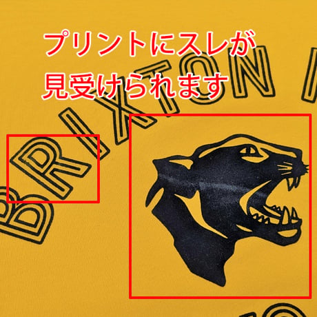 “訳ありOUTLET SALE”  BRIXTON Tシャツ 半袖 ブリクストン メンズ　PHYS. ED.  S/S STT TEE（CITRUS）