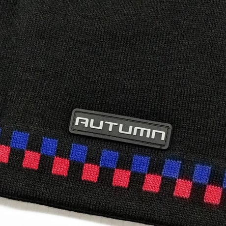 SALE ビーニー オータム スノー スノーボード  AUTUMN HEADWEAR RATIO BEANIE （BLACK）
