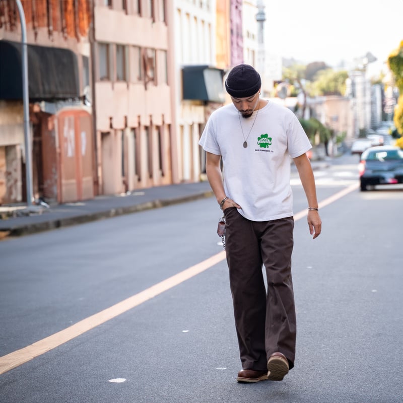 Brown】BEN DAVIS EXTRA WIDE WORKERS PANTS MISSI