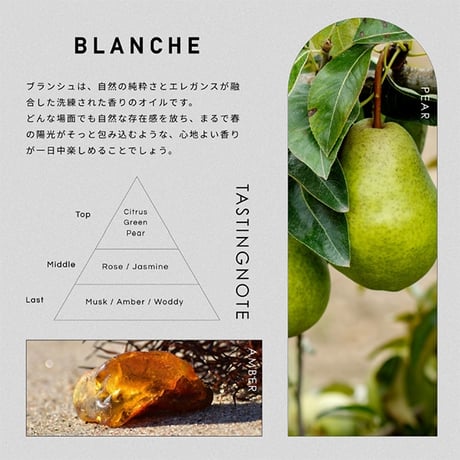 ロアオードパルファム LOA EAU DE PARFUM ブランシュ（LOA THE OIL/香水30ml）