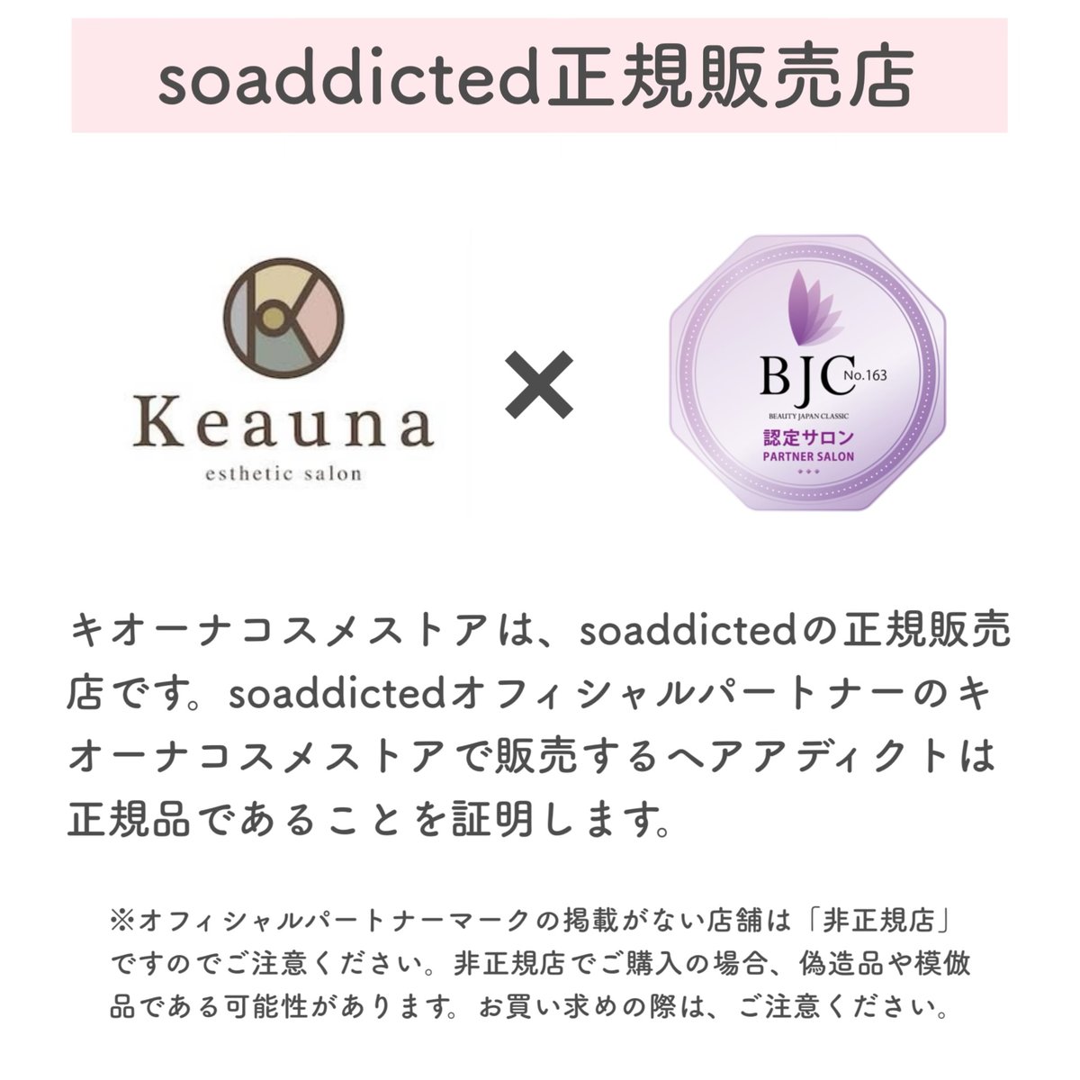 ヘアアディクトプレミアムセット（soaddicted/育毛剤＆導入マシン