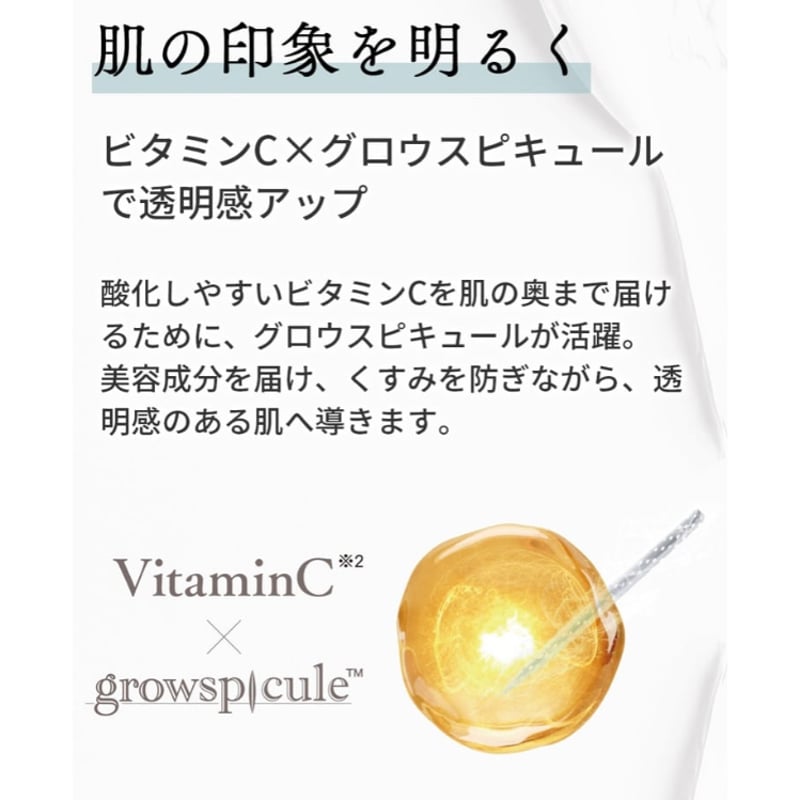 SPICARE V3 VSPEC C Clay Pack 200g2個セット 公式認定ストア】V3 VSPIC C クレイパック（スピケアV3/クレイ