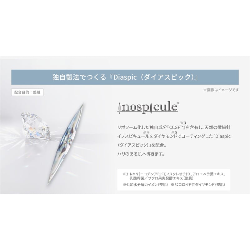 メーカー認定正規ストア】V3ハリデイリークリームシーズン2（スピケア