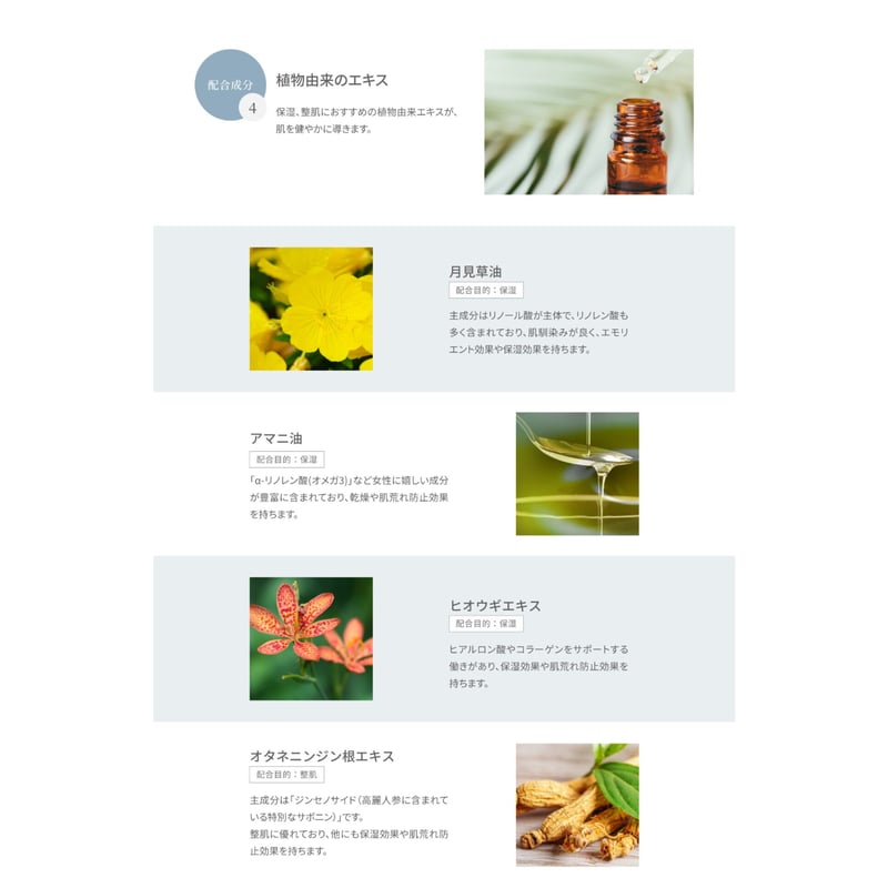 メーカー認定正規ストア】V3ハリデイリークリームシーズン2（スピケア