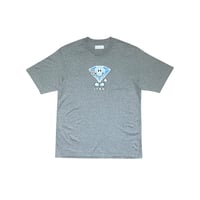 ICE DIDDY TEE [GRAY]