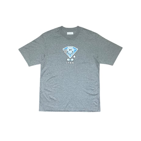 ICE DIDDY TEE [GRAY]