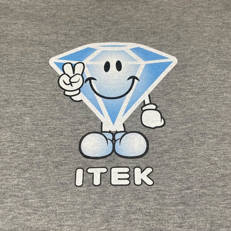 ICE DIDDY TEE [GRAY]